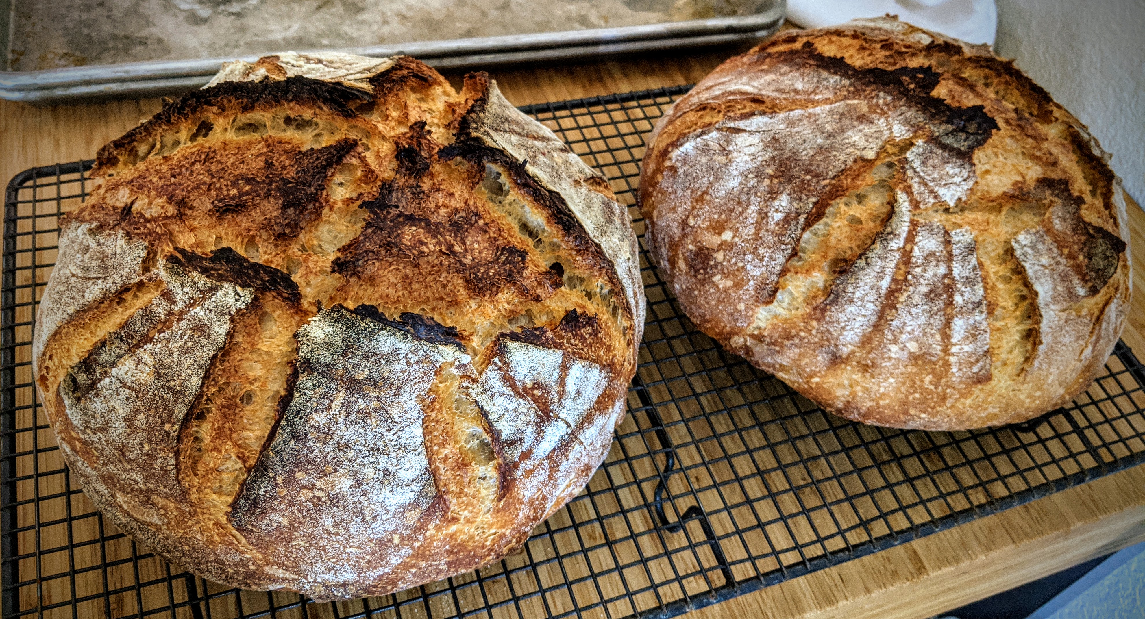 "Both finished loaves"