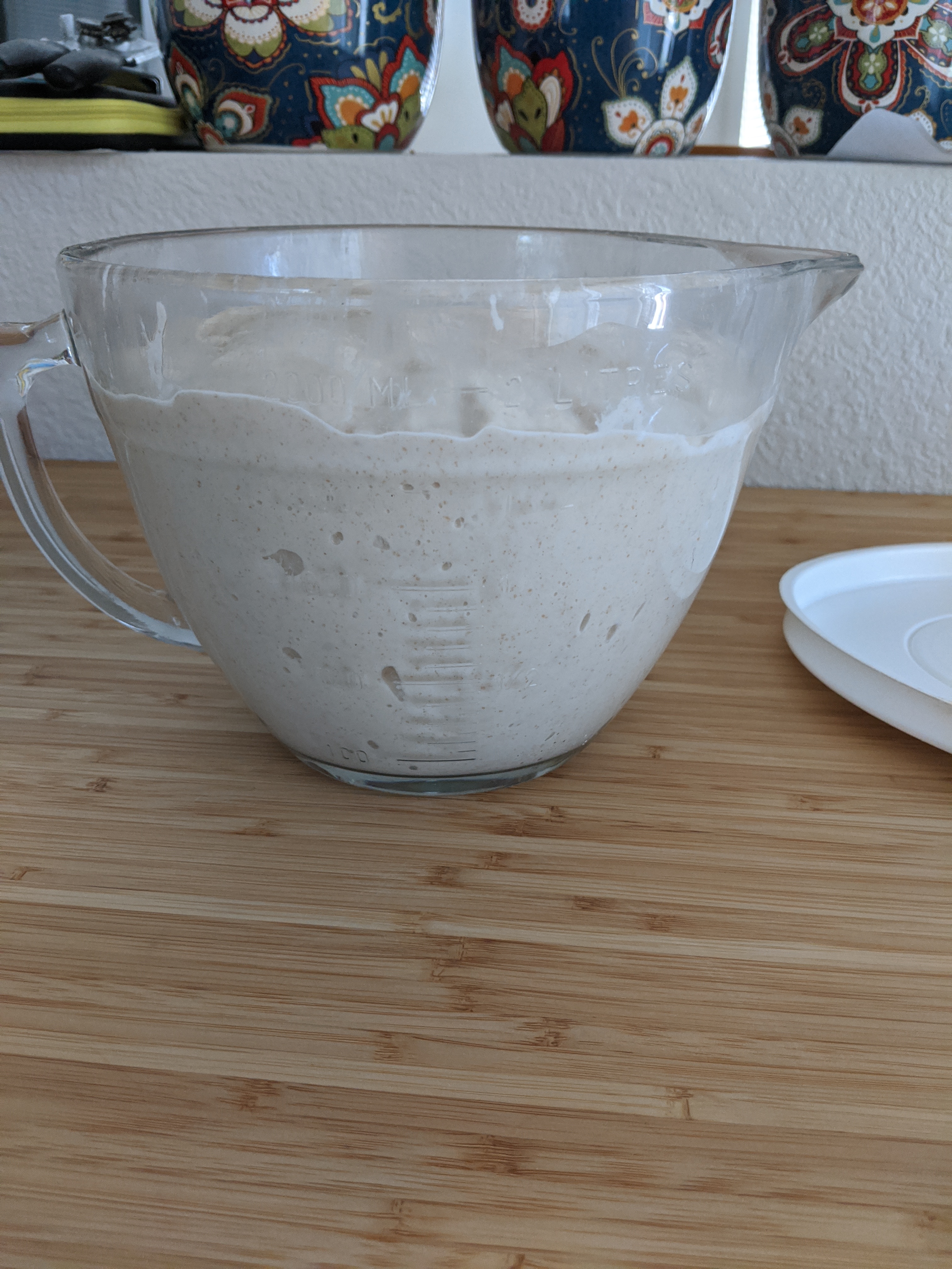 Dough after bulk fermentation (side)