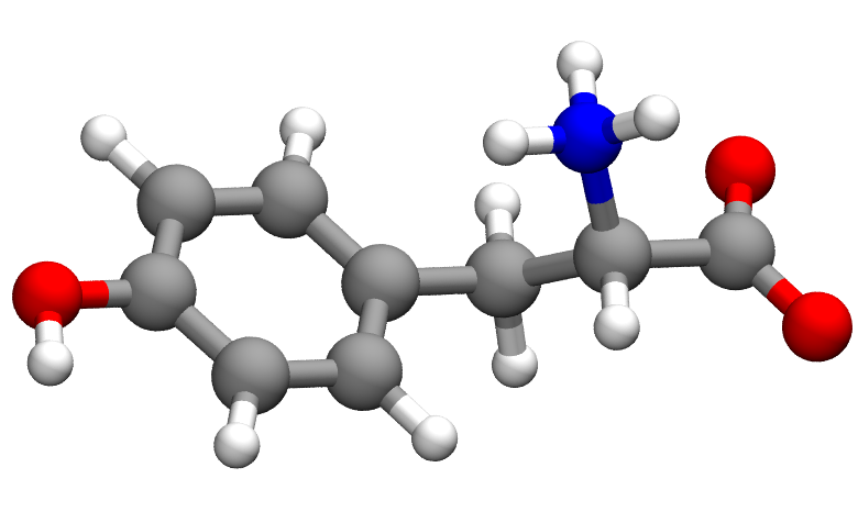 Tyrosine 3D